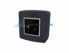 CAME SELR1BDG (806SL-0300) накладной считыватель